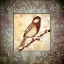 Picture of TINY BIRD I