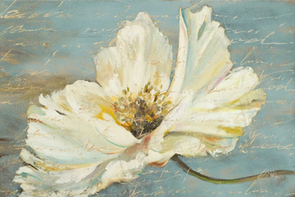 Picture of WHITE PEONY