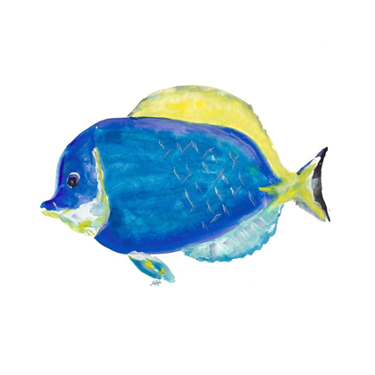 Picture of FISH I