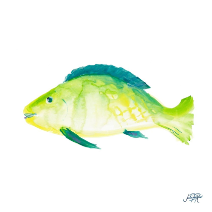 Picture of FISH II