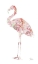 Picture of FLOWERY FLAMINGO