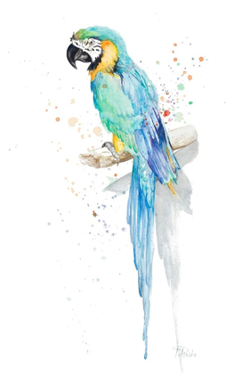Picture of WATERCOLOR PARROT