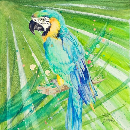 Picture of COLORFUL PARROT