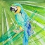 Picture of COLORFUL PARROT