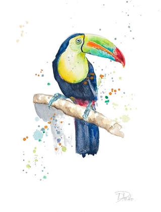 Picture of WATERCOLOR TOUCAN