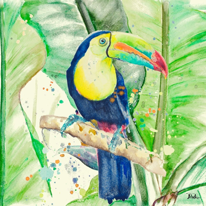 Picture of COLORFUL TOUCAN