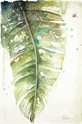 Picture of WATERCOLOR PLANTAIN LEAVES I