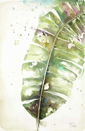 Picture of WATERCOLOR PLANTAIN LEAVES II