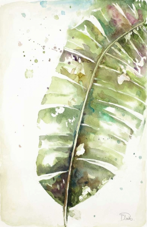 Picture of WATERCOLOR PLANTAIN LEAVES II