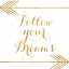Picture of FOLLOW YOUR DREAMS WITH ARROWS
