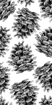 Picture of PINECONE PATTERN BANDW