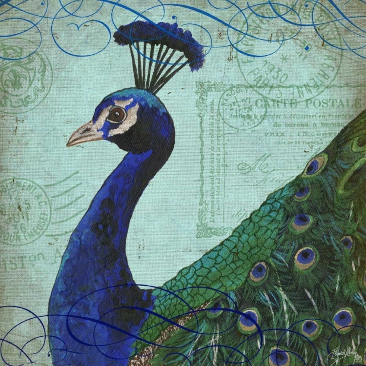 Picture of PARISIAN PEACOCK II