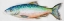 Picture of WATERCOLOR FISH I