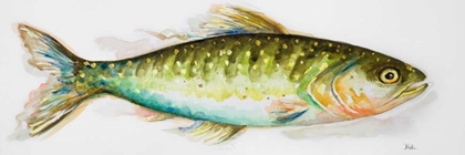 Picture of WATERCOLOR FISH II