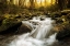 Picture of ROARING FORK