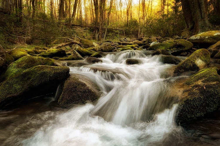 Picture of ROARING FORK