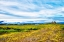 Picture of ABANDONED FARM