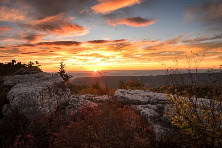 Picture of SUNRISE IN FALL I