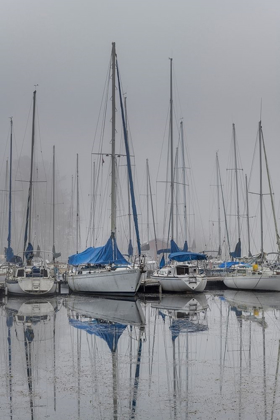 Picture of SAILING BOATS