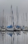 Picture of SAILING BOATS