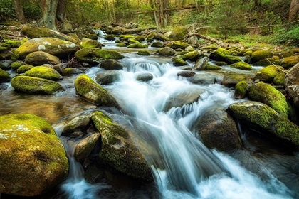 Picture of MOSS ROCKS