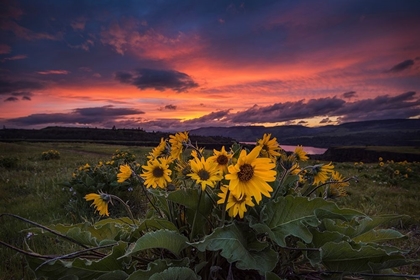 Picture of SUNSET AT THE GORGE