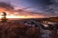 Picture of SUNRISE IN FALL III
