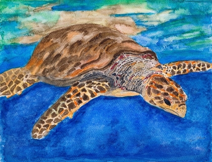 Picture of TURTLE AT SEA