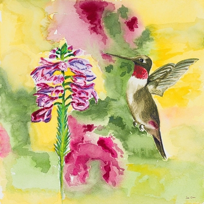 Picture of WATERCOLOR HUMMINGBIRD