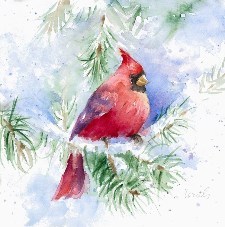 Picture of CARDINAL IN SNOWY TREE