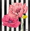 Picture of POPPIES ON STRIPES I