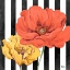 Picture of POPPIES ON STRIPES II