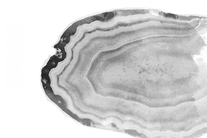 Picture of WATERCOLOR BW AGATE