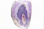 Picture of PURPLE WATERCOLOR AGATE I