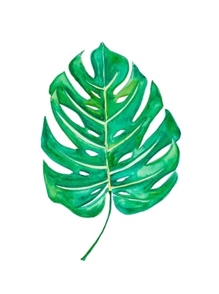 Picture of GARDEN LEAF I