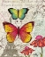 Picture of PARIS BUTTERFLIES I