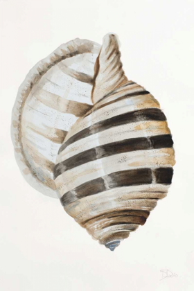 Picture of MODERN SHELL I