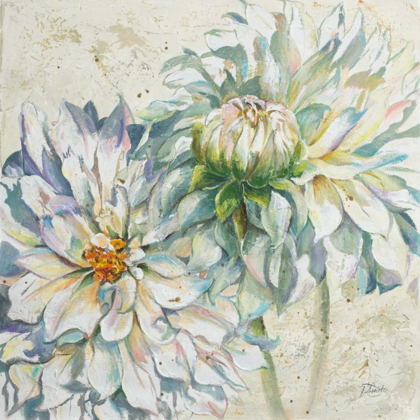 Picture of WHITE DAHLIAS I