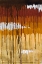 Picture of SUMMER RAIN I
