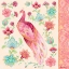 Picture of PINK MEDALLION PEACOCK II