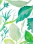 Picture of GREEN WATER LEAVES II