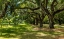 Picture of BOONE HALL