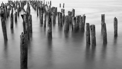 Picture of HUDSON RIVER PILINGS