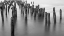 Picture of HUDSON RIVER PILINGS