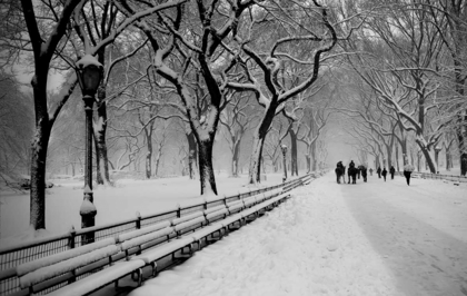 Picture of CENTRAL PARK SNOW