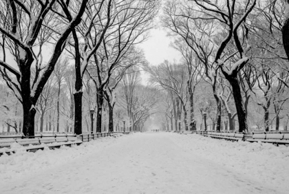 Picture of THE MALL WASHINGTON DC