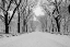 Picture of THE MALL WASHINGTON DC