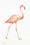 Picture of FLAMINGO DUO I