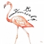 Picture of BE DIFFERENT FLAMINGO II