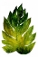 Picture of GREEN LEAVES I